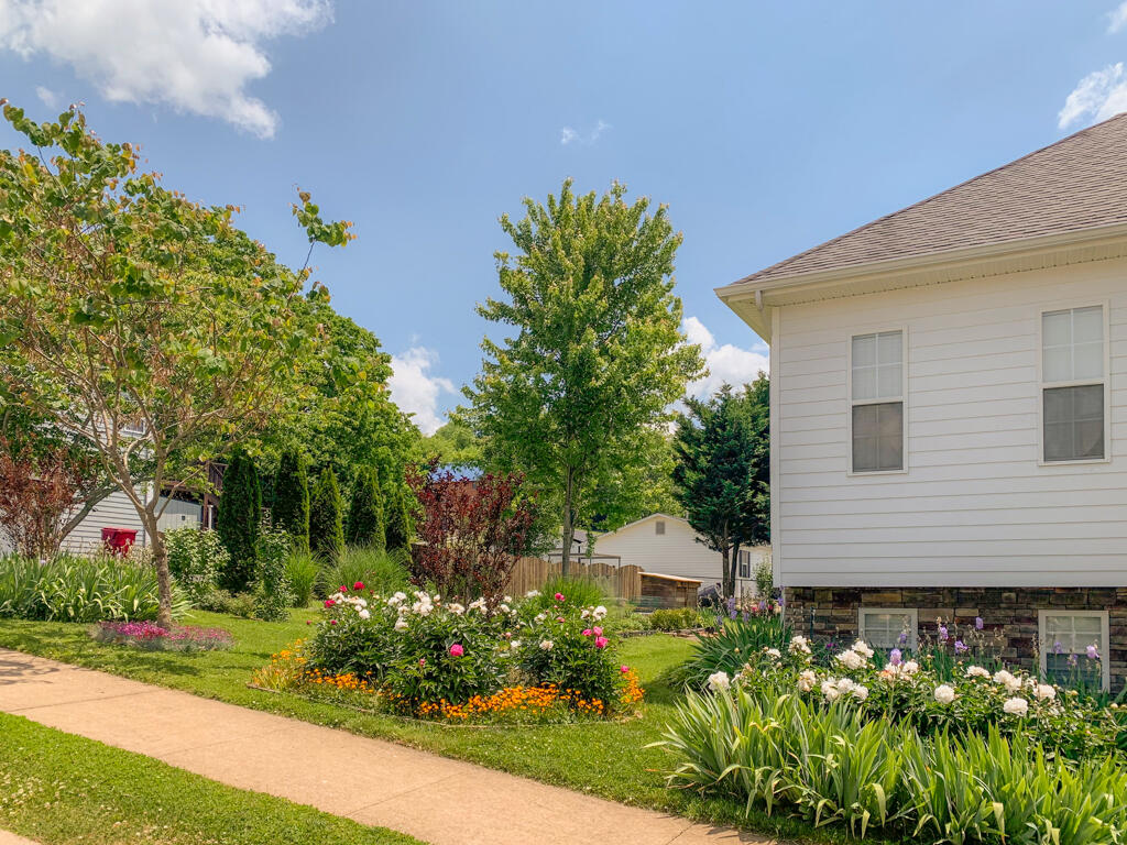 167 Azalea Ridge Johnson City, TN 37601 - Photo 15 of 48 167 Azalea Ridge MLS015 (1)