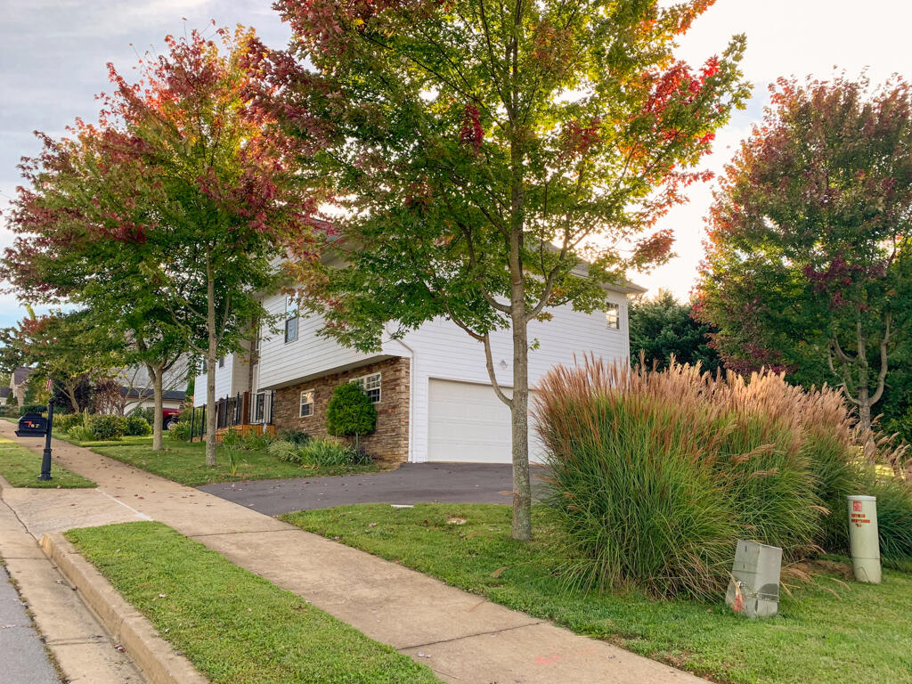 167 Azalea Ridge Johnson City, TN 37601 - Photo 6 of 48 167 Azalea Ridge MLS006 (1)