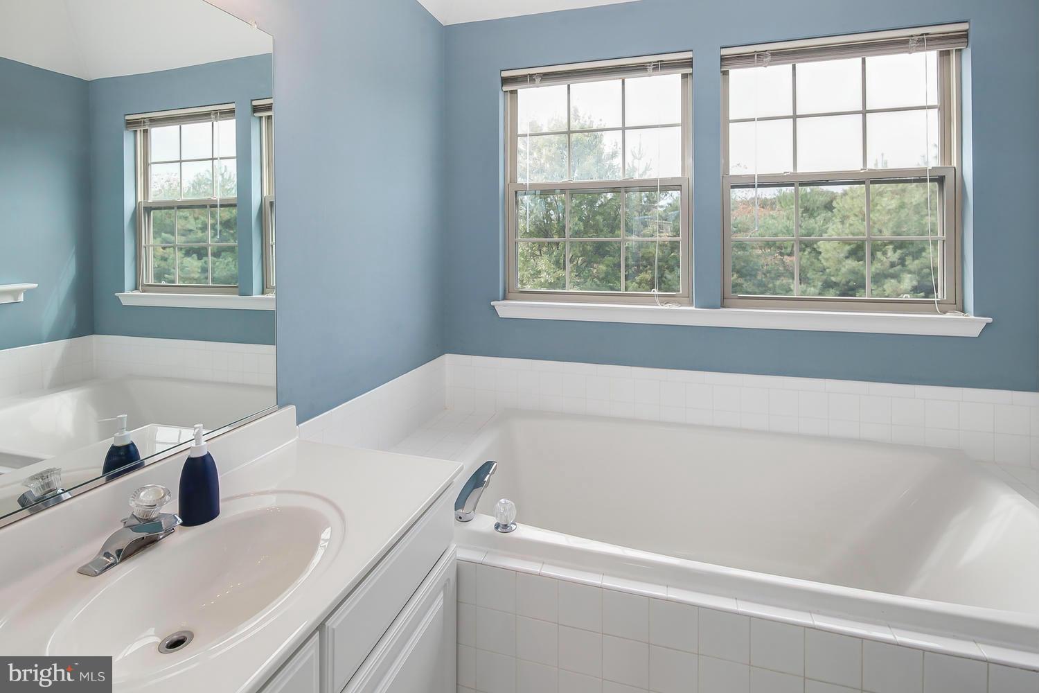 31 Bank Spring Owings Mills, MD 21117 - Photo 19 of 30 Bath (Master)