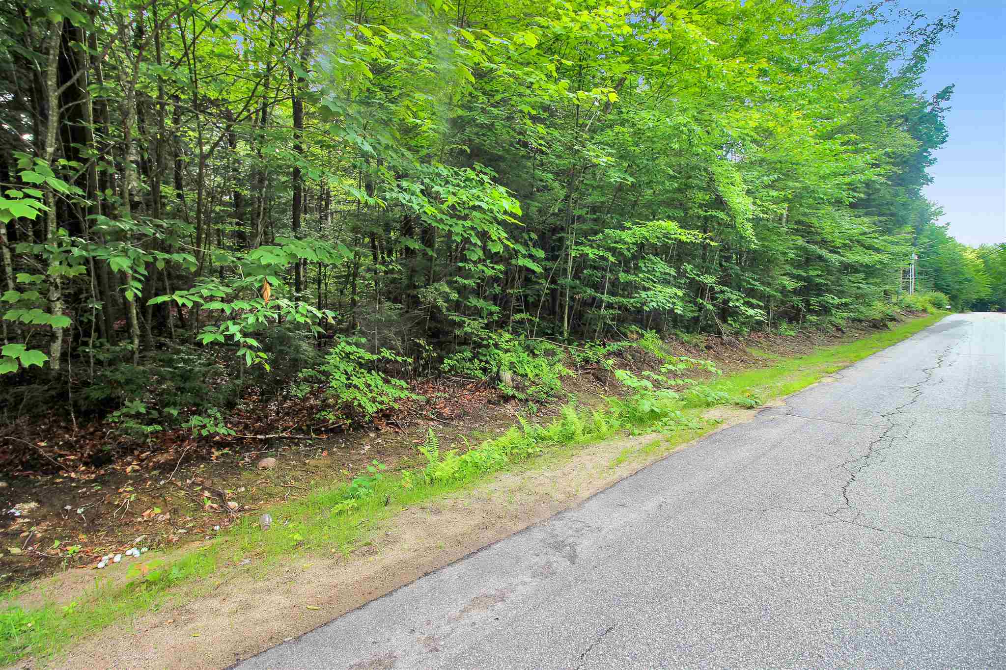 0 Puckerbrush Road, Unit 5 Campton, NH 03223 - Photo 12 of 14 Gallery Image 12