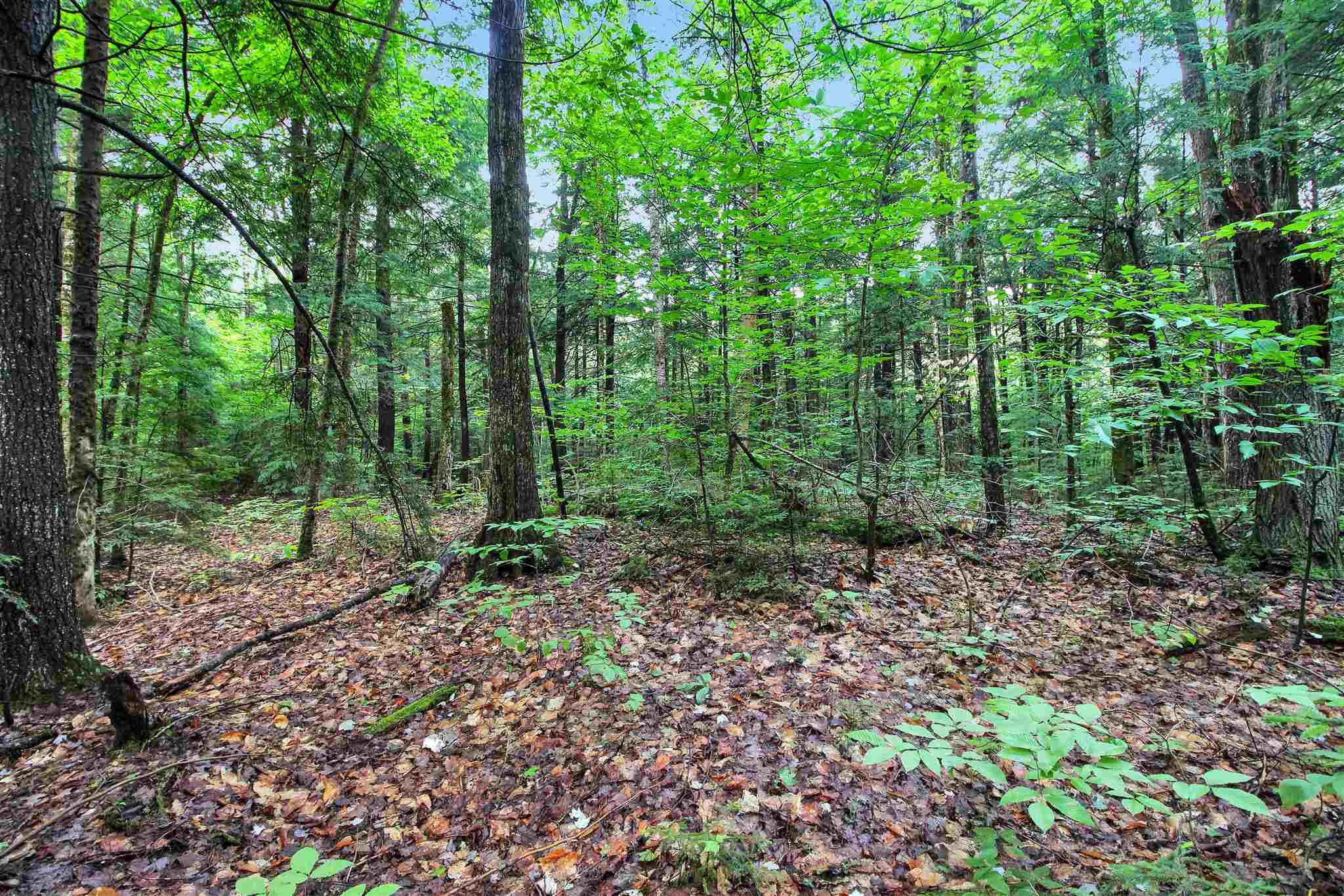 0 Puckerbrush Road, Unit 5 Campton, NH 03223 - Photo 6 of 14 Gallery Image 6