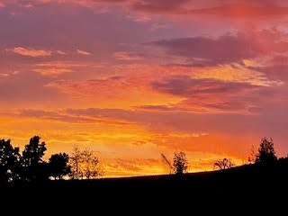 995 Suncrest Road Talent, OR 97540 - Photo 82 of 96 sunset orange