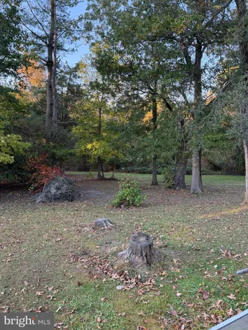 a view of a outdoor space