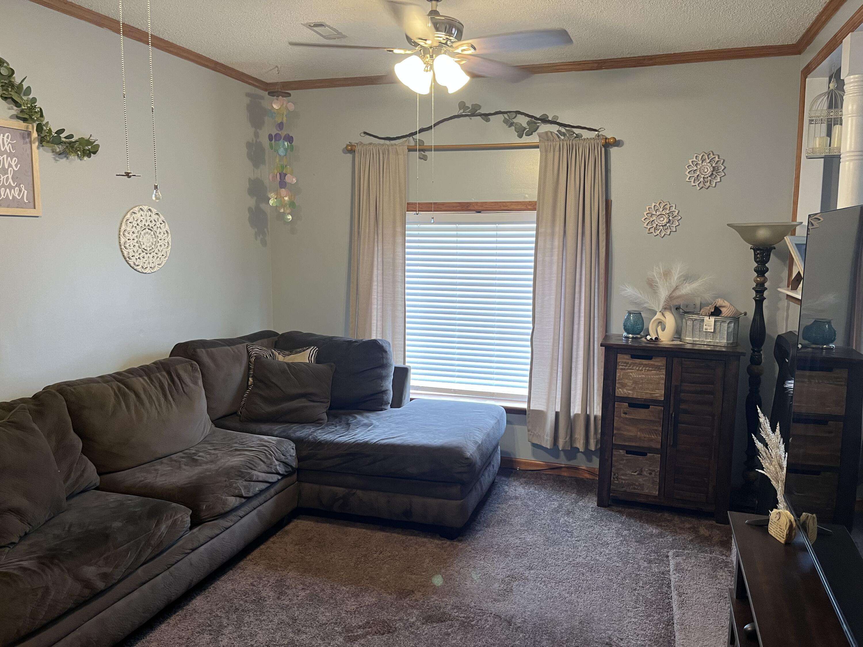 183 Dandridge Road Walterboro, SC 29488 - Photo 7 of 35 IMG_4732