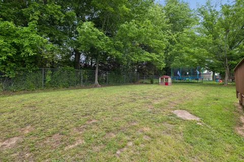 a view of a tree in a yard