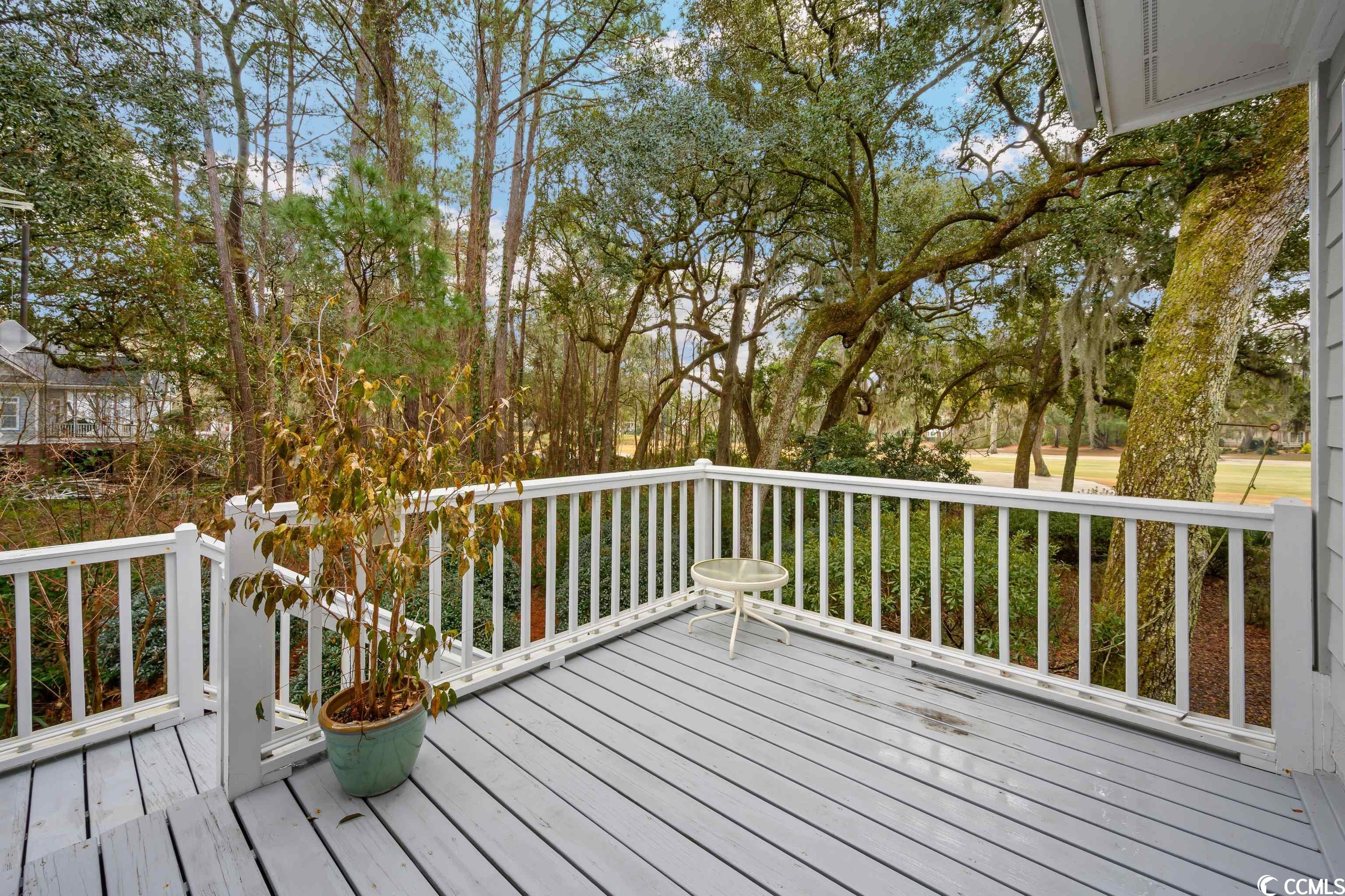 820 Wallace Pate Drive Georgetown, SC 29440 - Photo 18 of 35