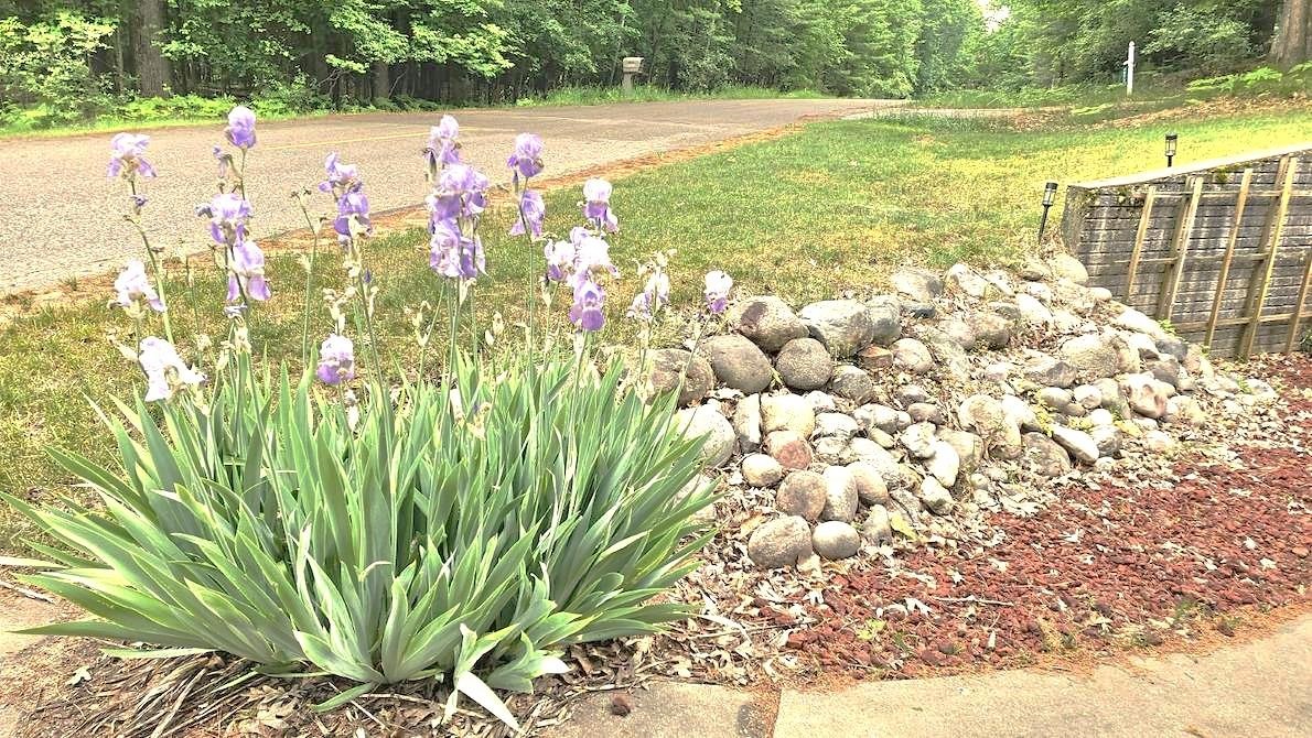 4911 Princess Way Gladwin, MI 48624 - Photo 9 of 55