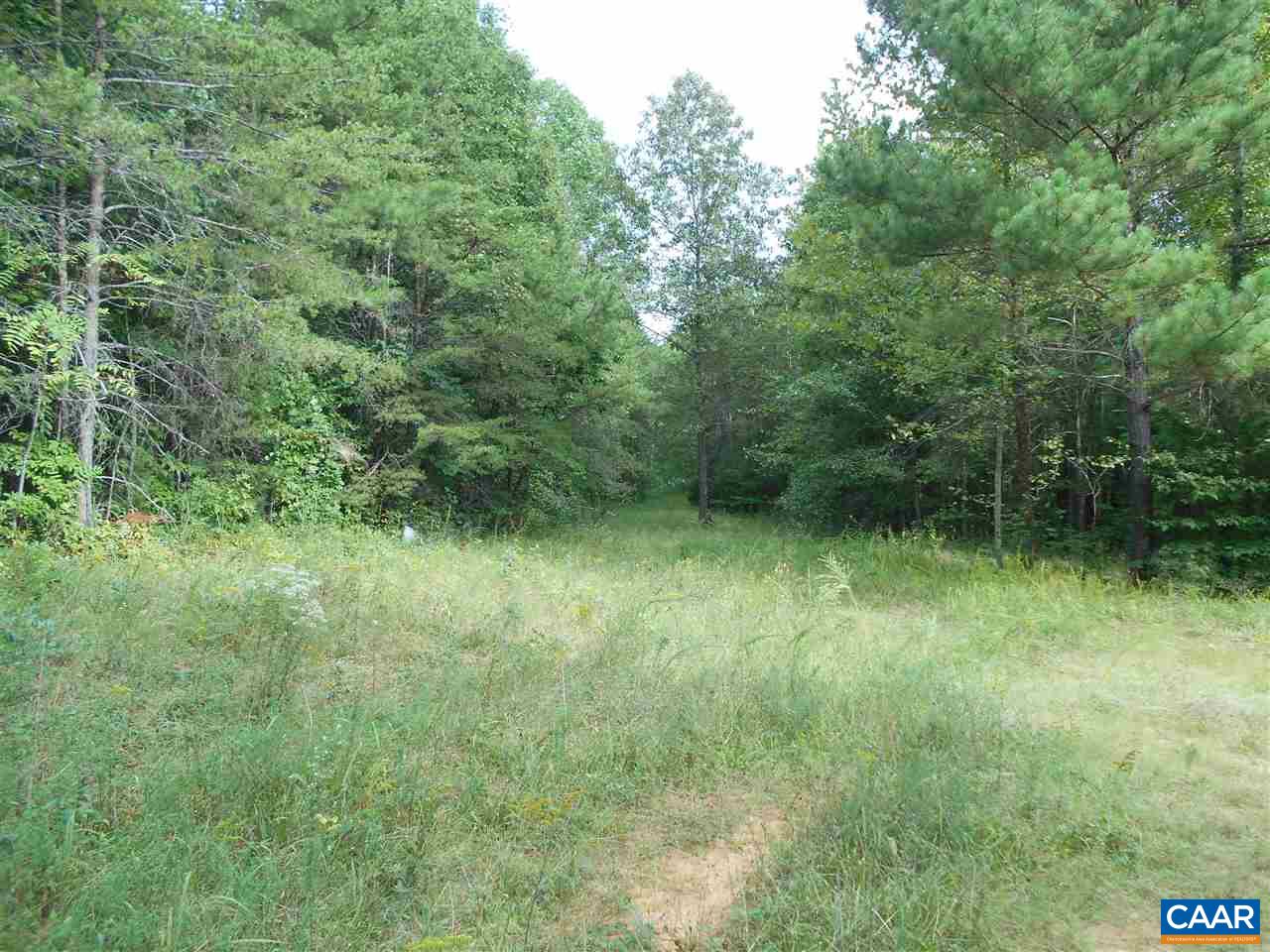 2455 Rough Creek Road Phenix, VA 23959 - Photo 2 of 7 a view of a lush green forest