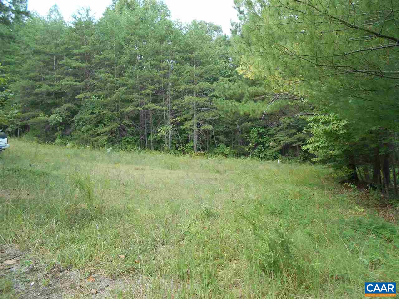 2455 Rough Creek Road Phenix, VA 23959 - Photo 4 of 7 a view of a lush green forest with trees and some trees