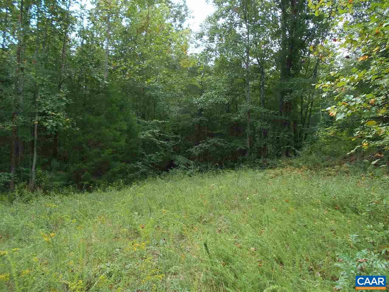 2455 Rough Creek Road Phenix, VA 23959 - Photo 6 of 7 a view of a lush green forest