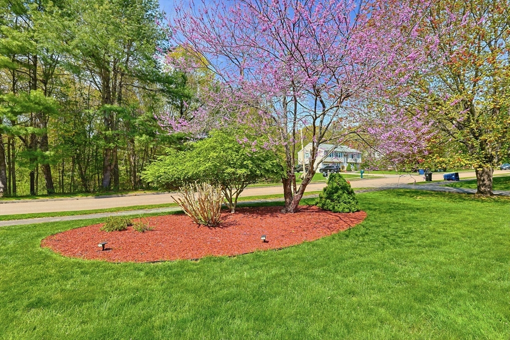 1 Tamworth Road Sharon, MA 02067 - Photo 31 of 31
