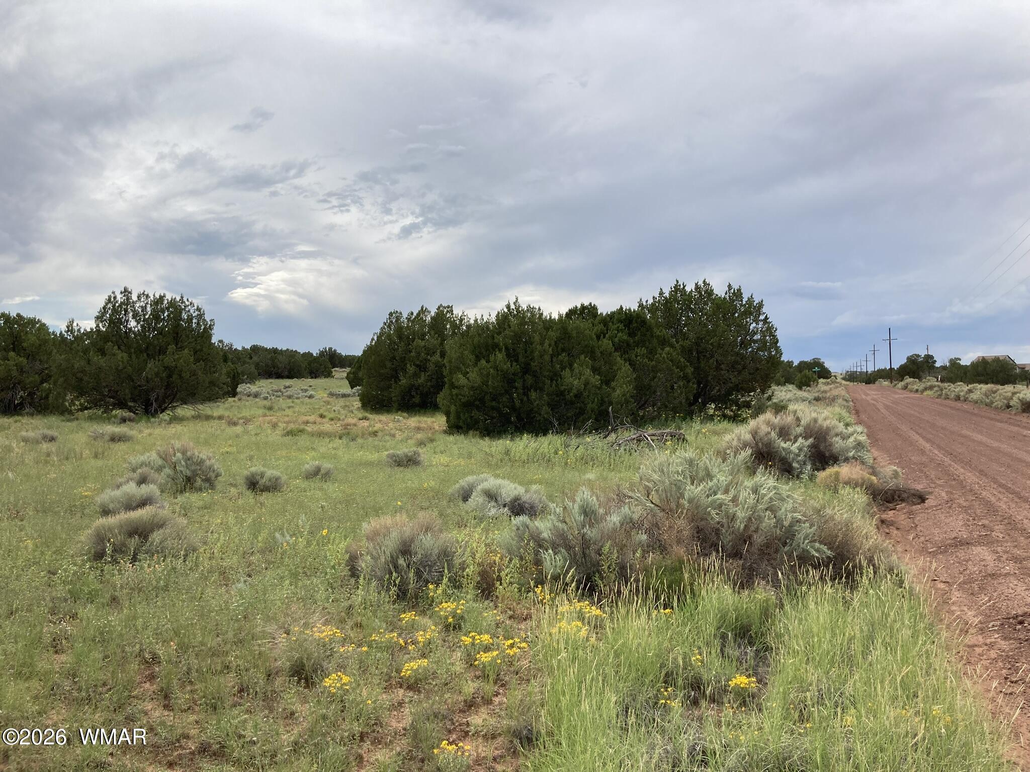 4979 Tharp Road Snowflake, AZ 85937 - Photo 12 of 19