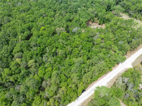 a view of a lush green forest with a park
