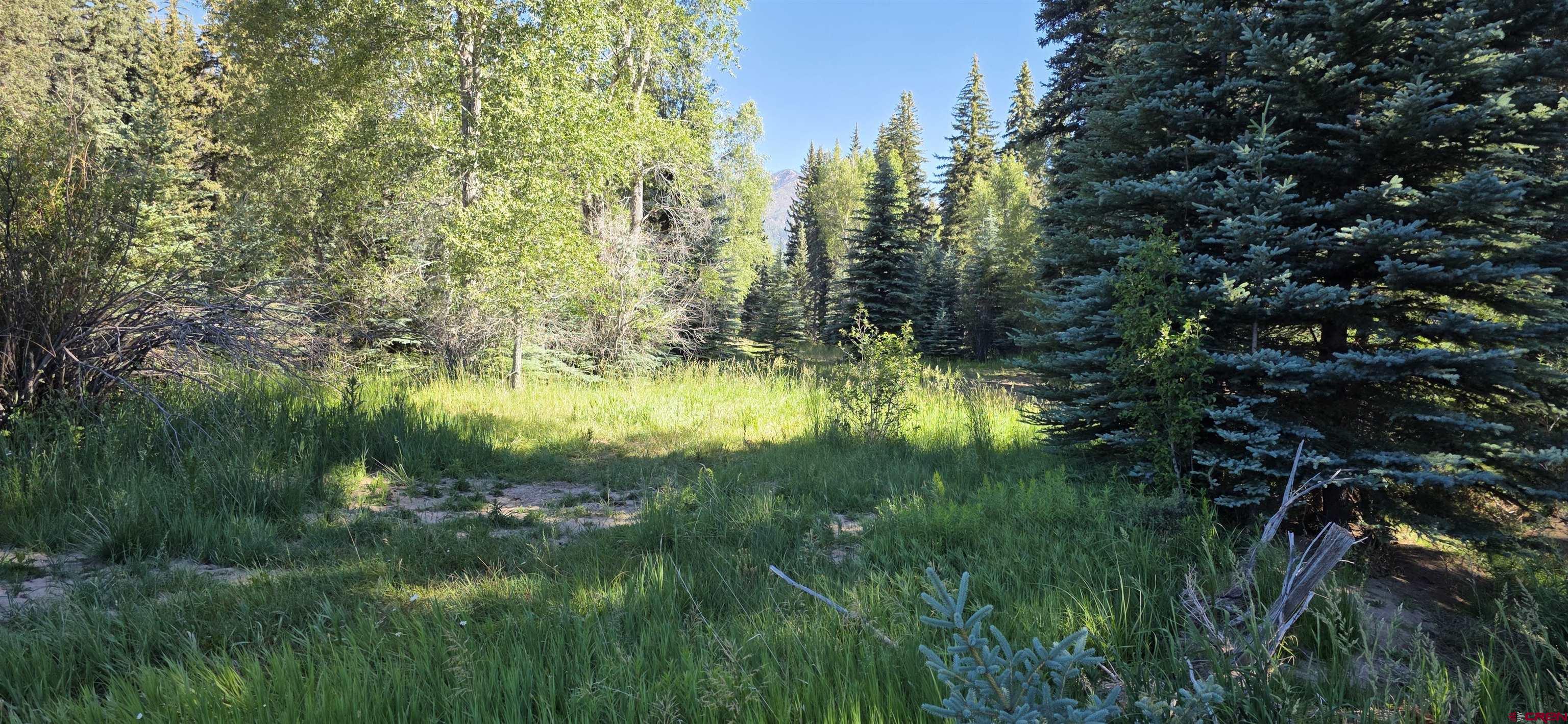201 Golden Forest Road Bayfield, CO 81122 - Photo 19 of 37
