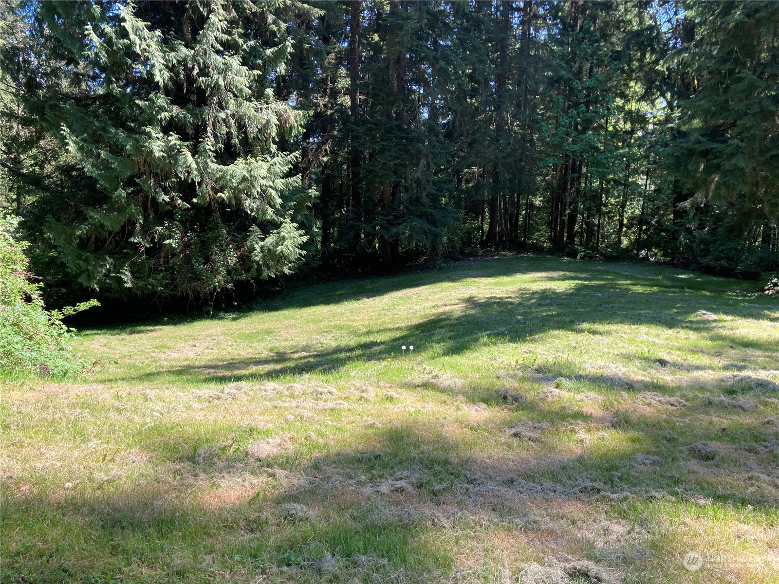 2408 Newberg Road Snohomish, WA 98290 - Photo 30 of 32 a view of yard with green space
