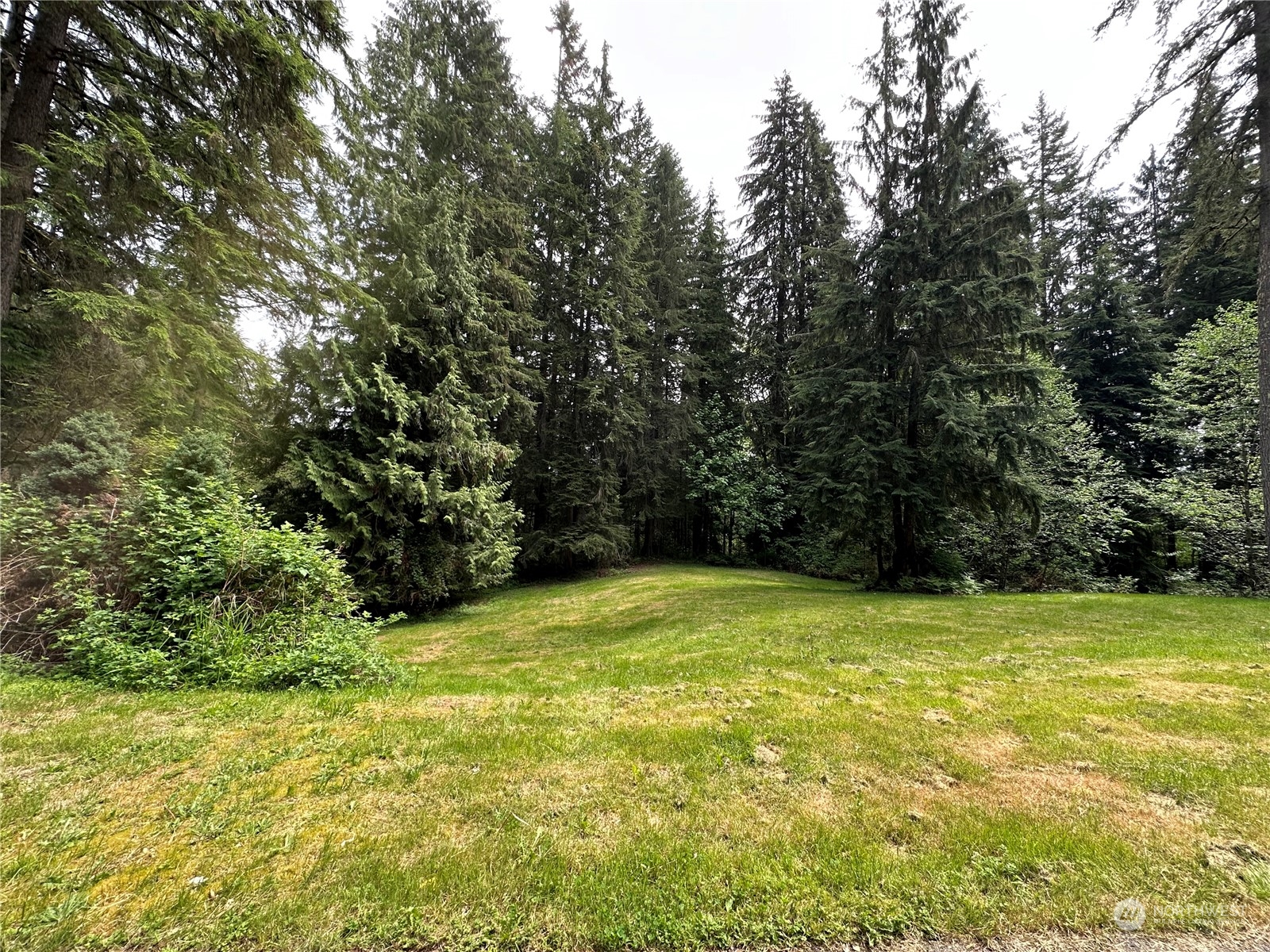 2408 Newberg Road Snohomish, WA 98290 - Photo 4 of 32 a view of a green yard