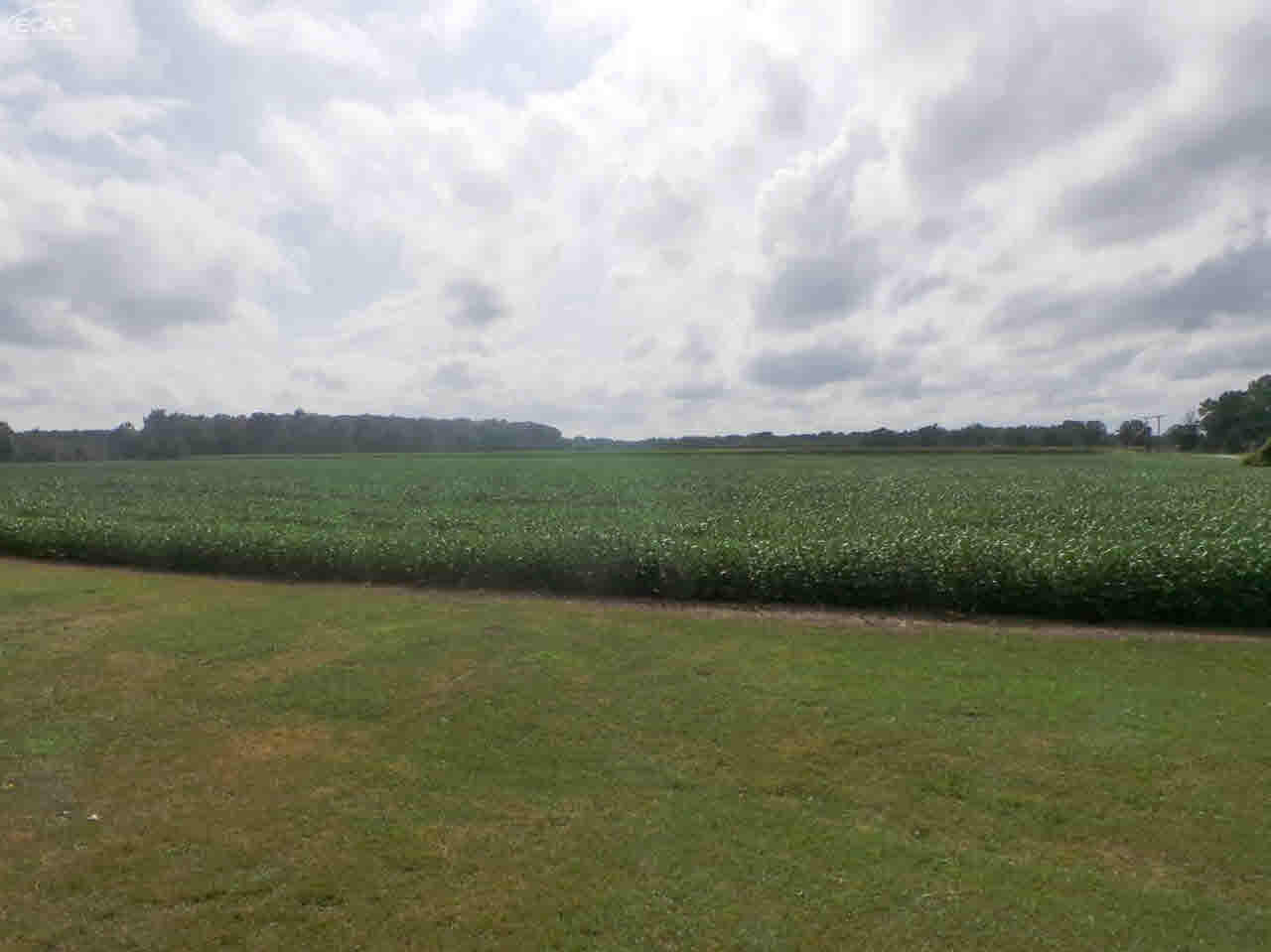 3585 West Burt Road Burt, MI 48417 - Photo 8 of 19