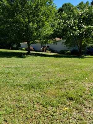 68 Lakeside Road Penhook, VA 24137 - Photo 5 of 7 a view of garden with trees