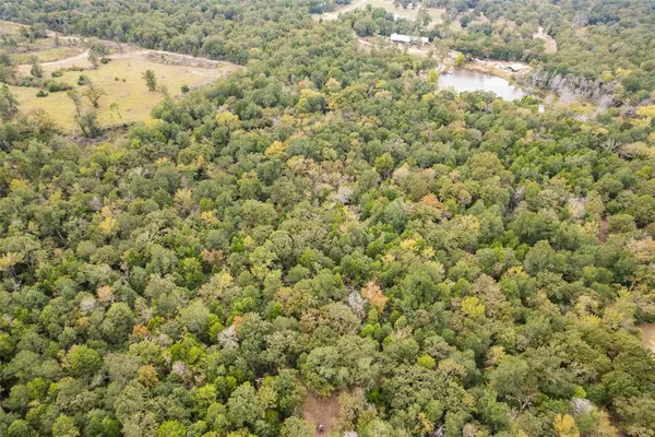 a view of a field