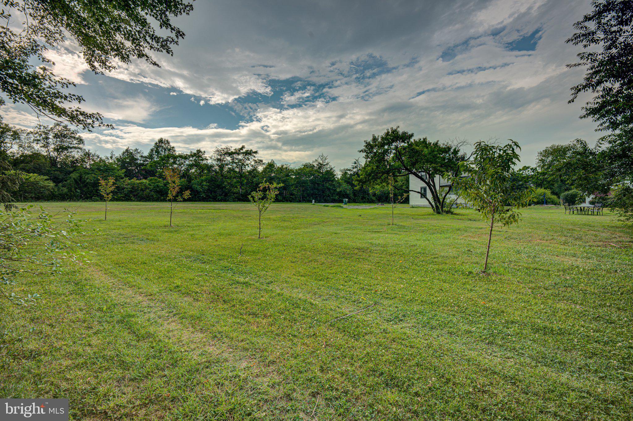 24177 Rapidan Road Mitchells, VA 22729 - Photo 36 of 43 Spacious green oasis under cloudy skies.