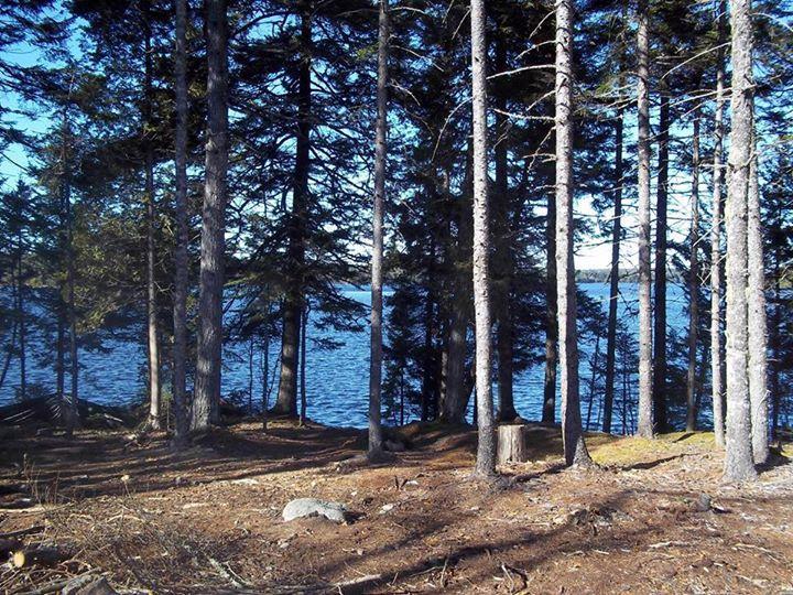 254 Cemetery Road Whiting, ME 04691 - Photo 33 of 35 A fall view of the lake from the cottage