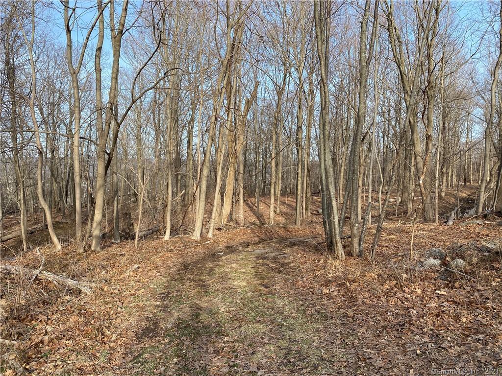 0 Andrew Mountain Road Naugatuck, CT 06770 - Photo 12 of 16