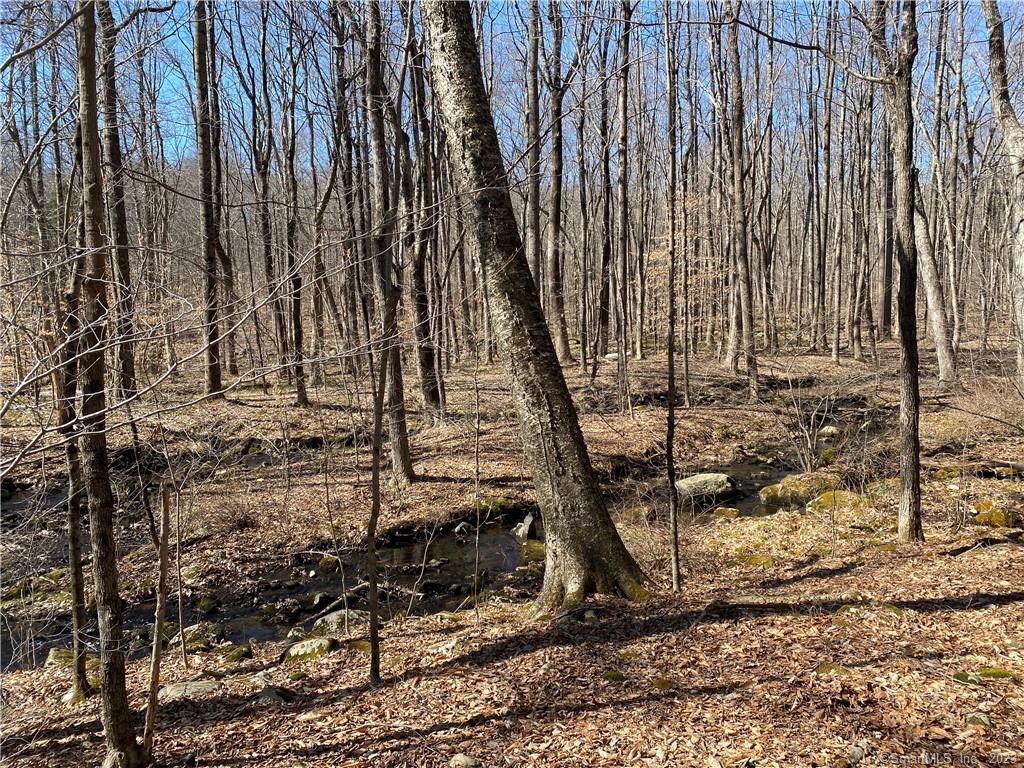 0 Andrew Mountain Road Naugatuck, CT 06770 - Photo 16 of 16