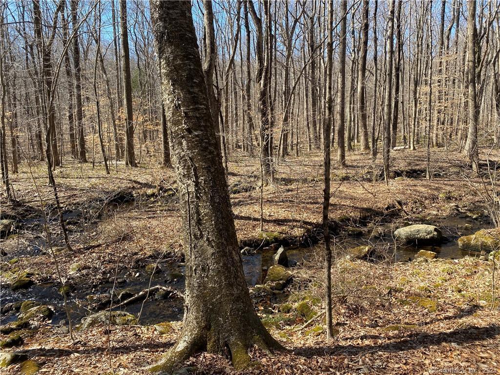 0 Andrew Mountain Road Naugatuck, CT 06770 - Photo 4 of 16