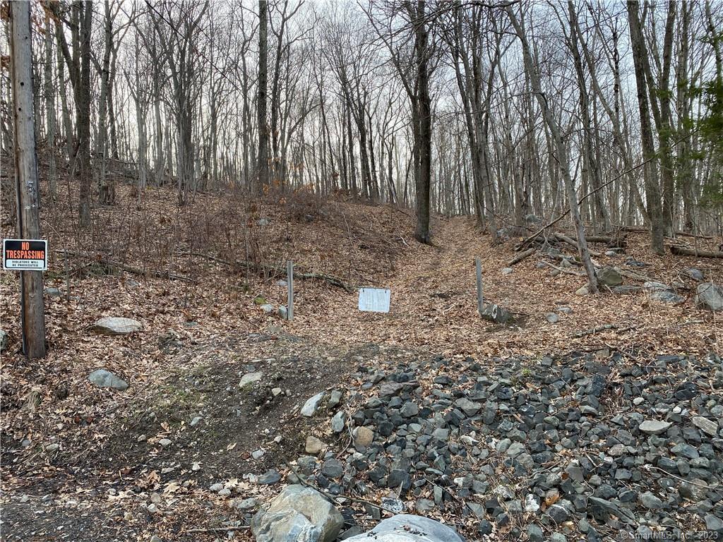 0 Andrew Mountain Road Naugatuck, CT 06770 - Photo 6 of 16