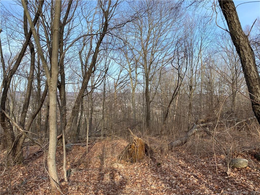 0 Andrew Mountain Road Naugatuck, CT 06770 - Photo 8 of 16