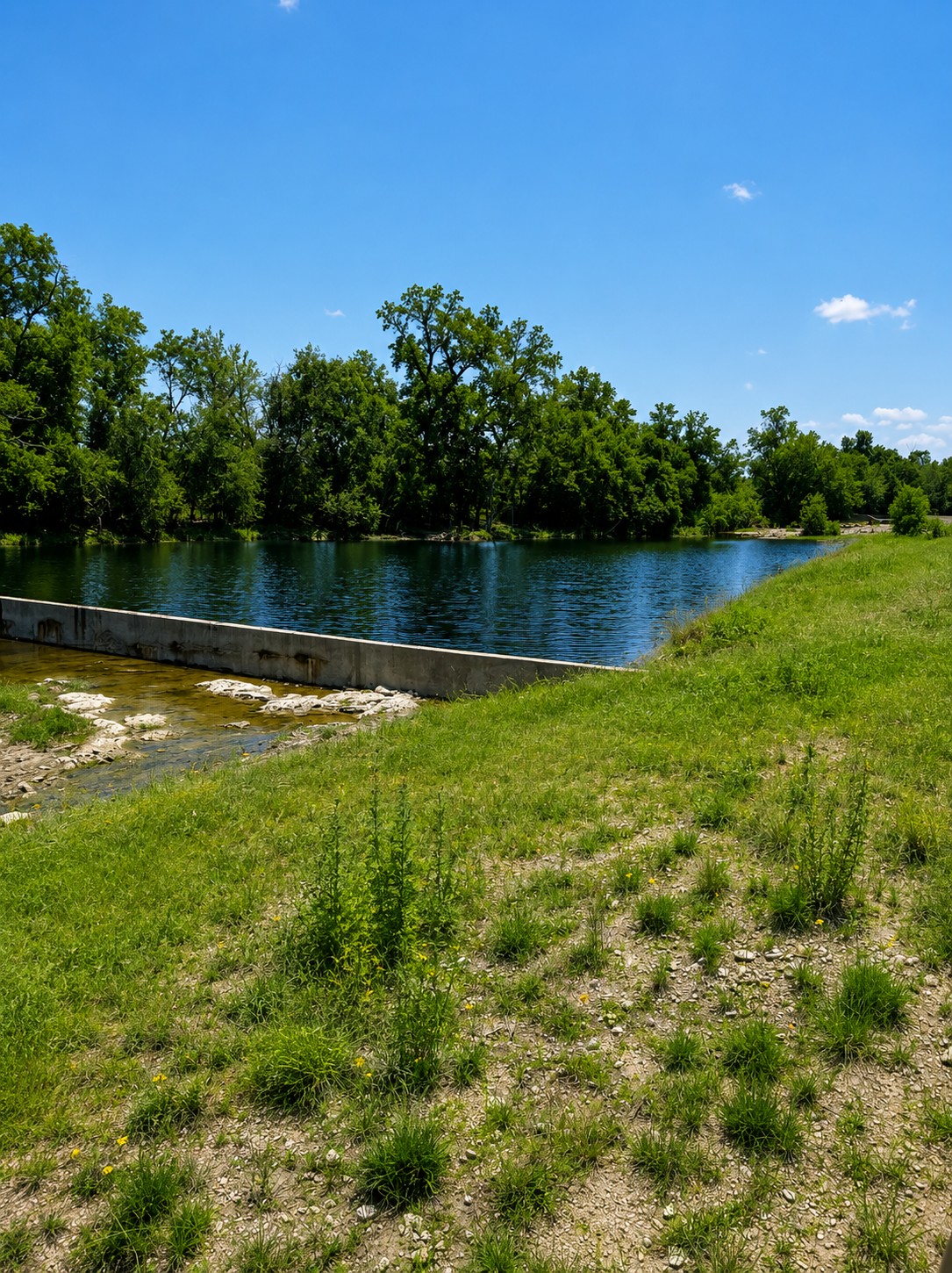 0 Creekside Ranch Johnson City, TX 78636 - Photo 2 of 14 A tranquil water view with lush green trees lining the shore under a clear sky.