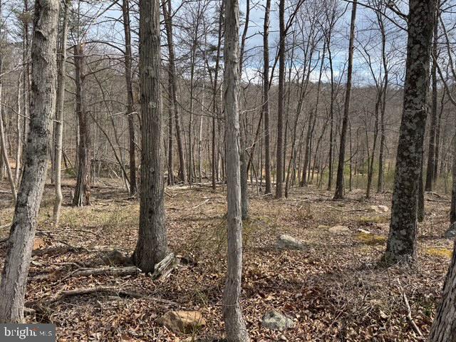 Rock Gap Road Berkeley Springs, WV 25411 - Photo 11 of 11 Gallery Image 11