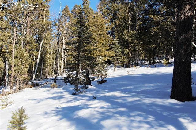 5523 N Road Divide, CO 80814 - Photo 13 of 16 View.