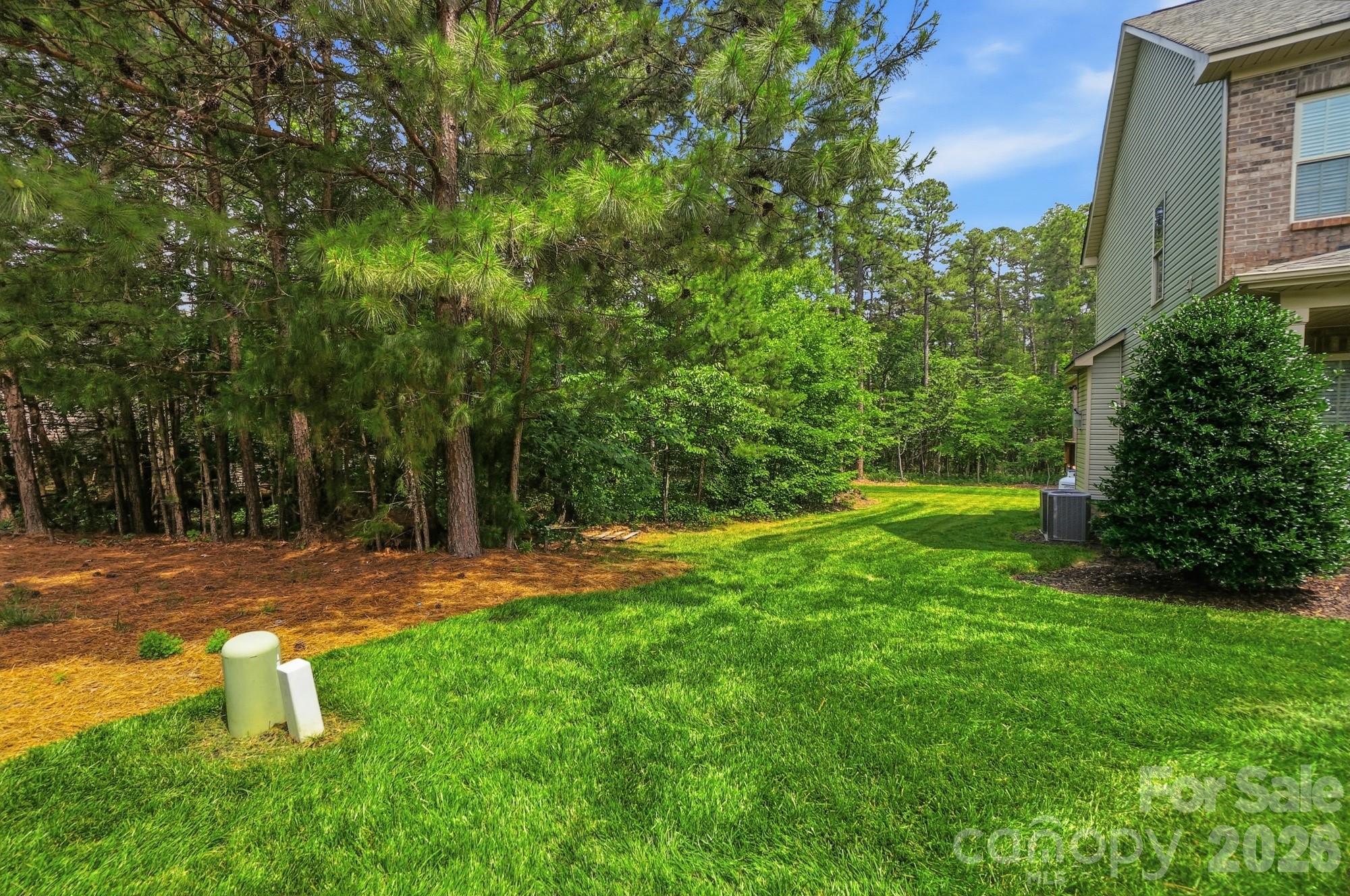 113 Delancy Street Locust, NC 28097 - Photo 3 of 5