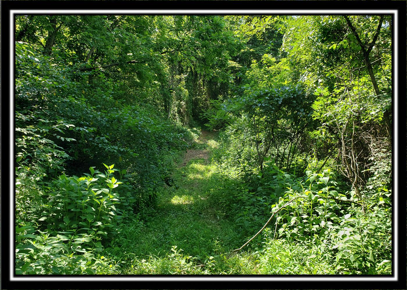 0 Bethel Road, Unit TRACT 4 Patriot, OH 45658 - Photo 20 of 35 CT-20