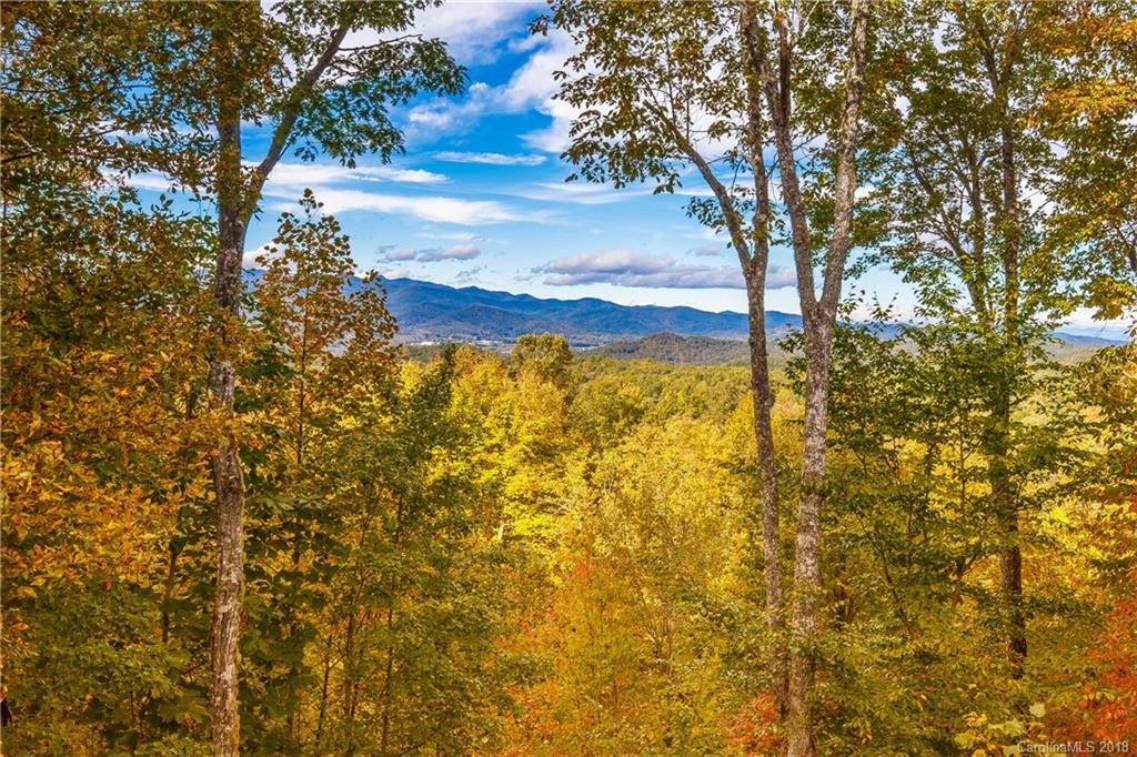 1023 Knob Road Pisgah Forest, NC 28768 - Photo 17 of 38 Gallery Image 17