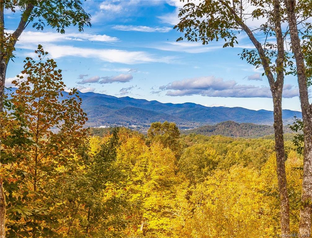 1023 Knob Road Pisgah Forest, NC 28768 - Photo 34 of 38 Gallery Image 34