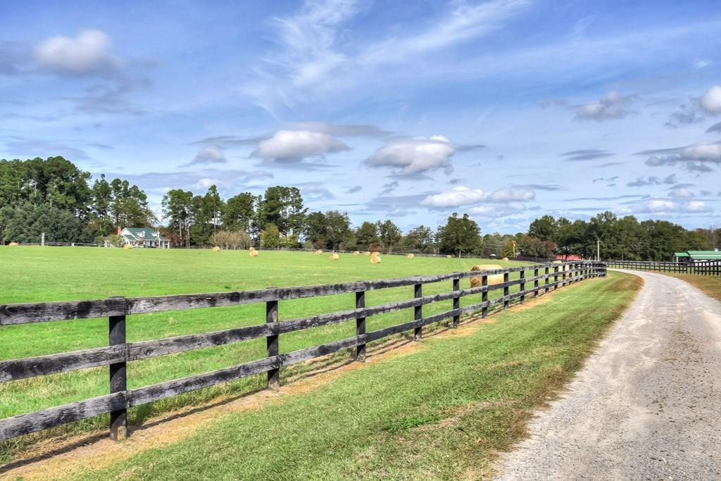 492 Black River Road Barnwell, SC 29812 - Photo 41 of 58 Gallery Image 41