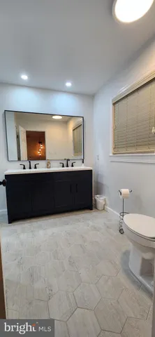 a bathroom with a sink and a toilet