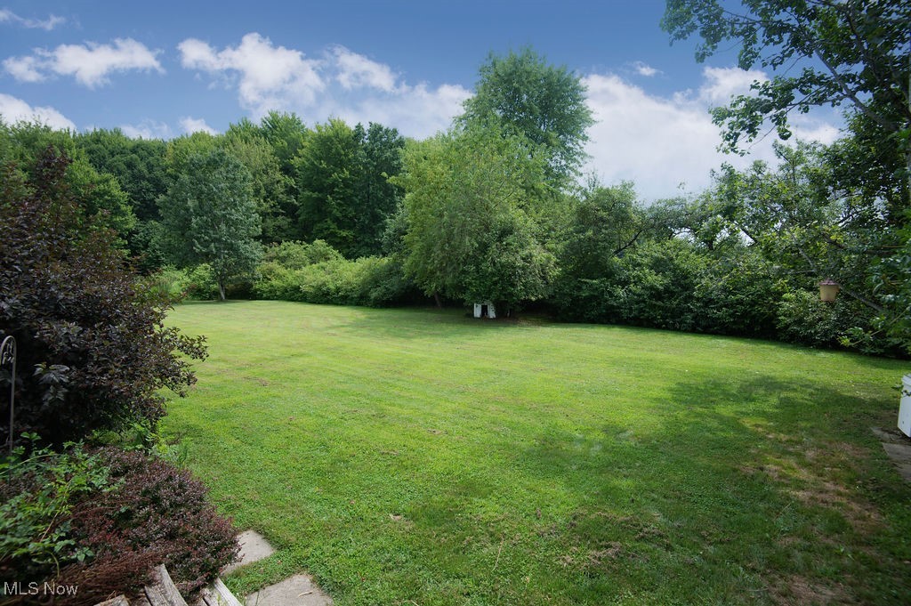 4594 Center Road Andover, OH 44003 - Photo 32 of 39 View of grassy yard