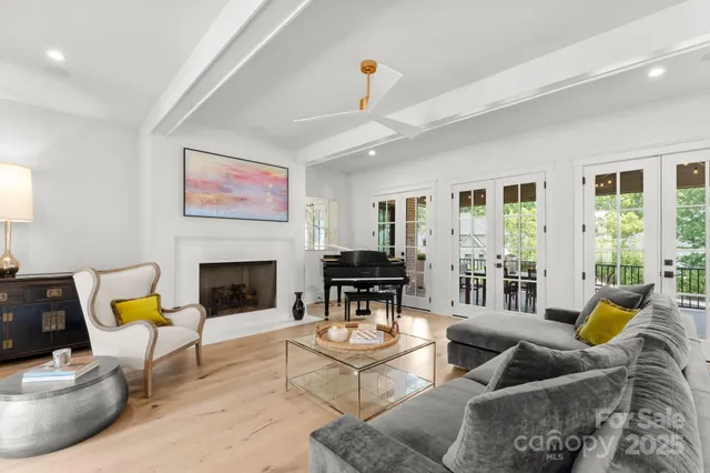a living room with furniture a fireplace and a potted plant