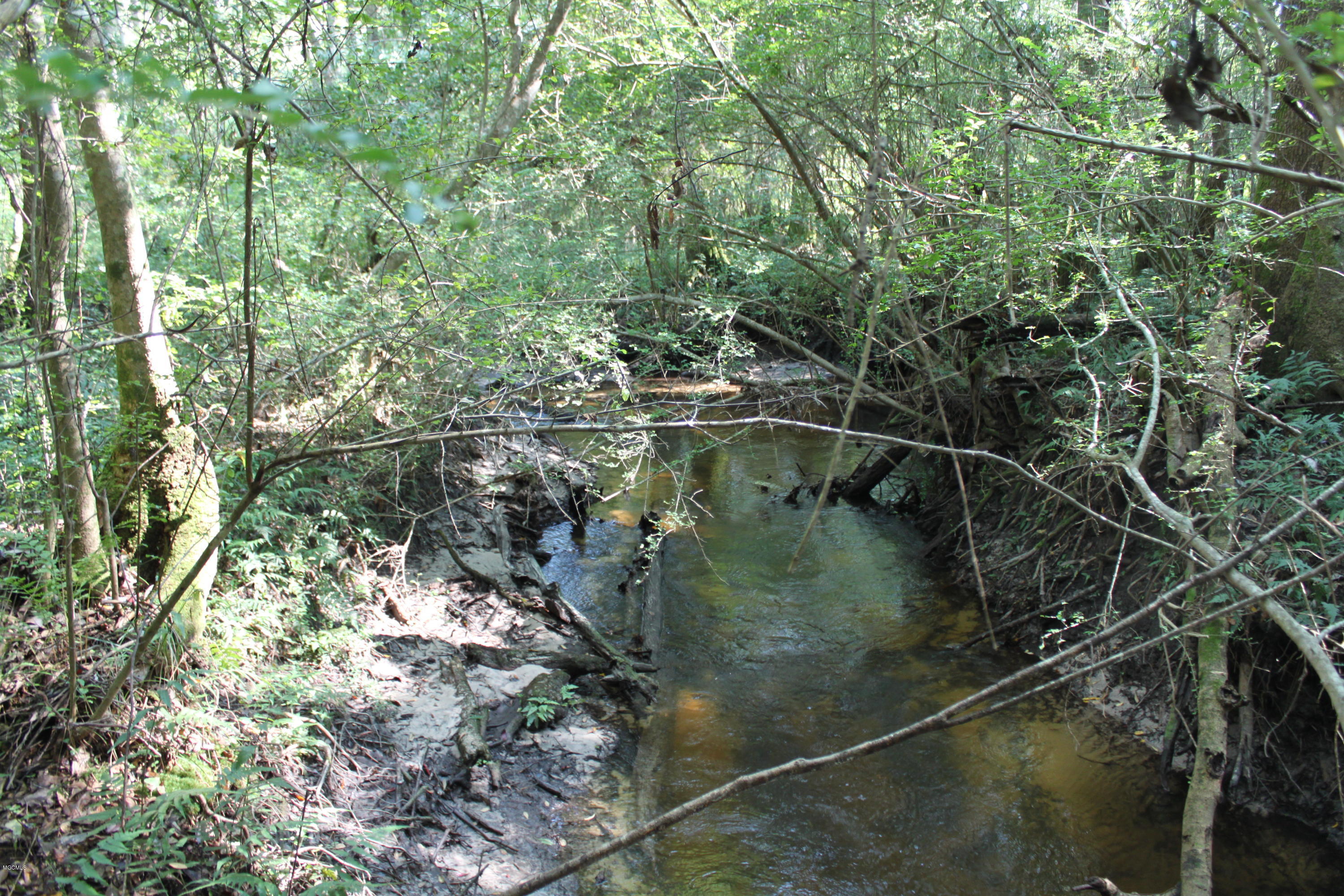 100-171 Cooks Corner Road Lucedale, MS 39452 - Photo 3 of 4 Creek
