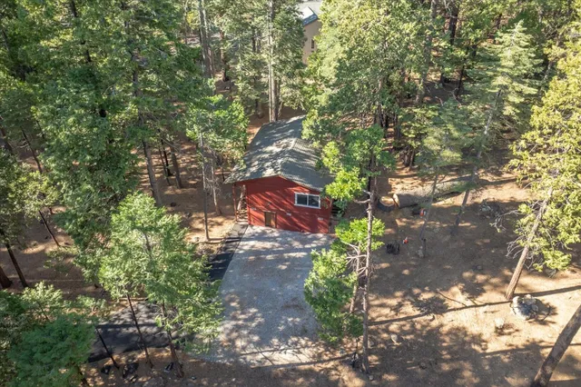 a view of a tree in a yard
