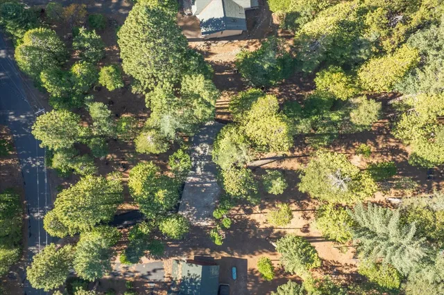 a picture of flowers