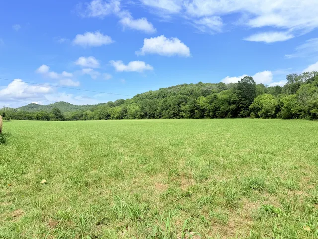 a view of field with trees in the background