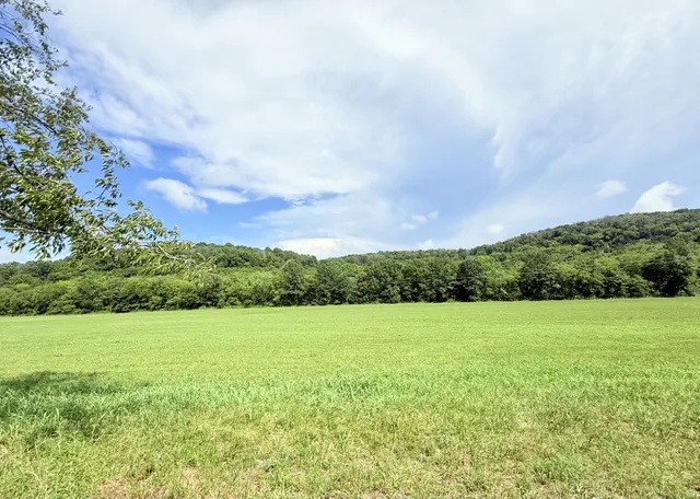 a view of outdoor space and yard