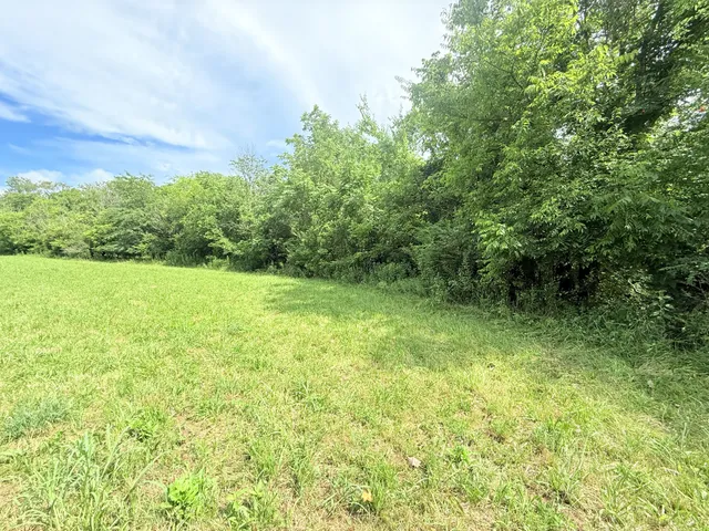 a view of a garden with a building in the background