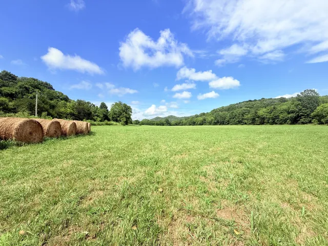 a view of a garden with houses