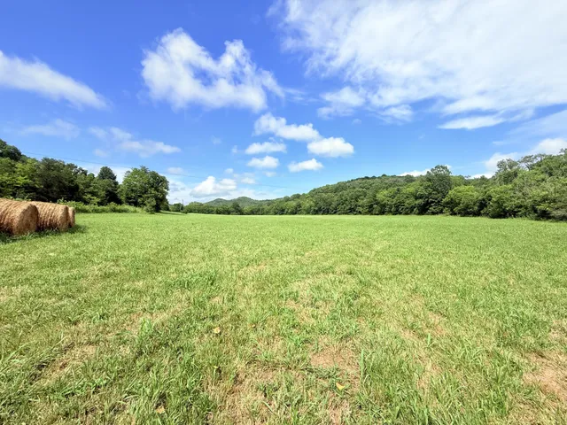 a view of a garden with a building in the background