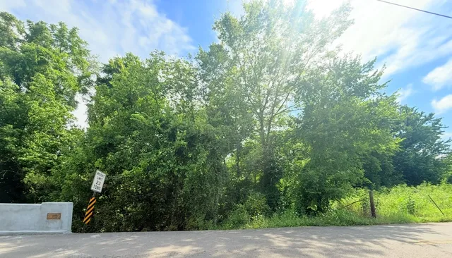 a view of a street with a tree